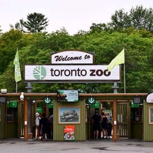 pase-de-atraciones-el-zoologico-de-toronto-05