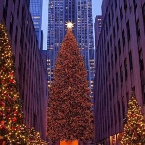 tour-de-luces-de-navidad-en-nueva-york-01