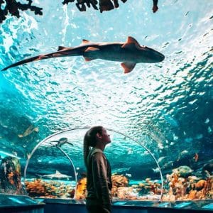 tour-por-el-acuario-de-ripley-03