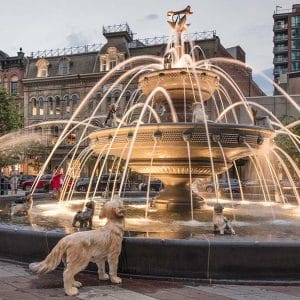 tour-privado-por-berczy-park-toronto-08
