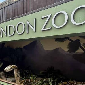 pase-de-atracciones-en-londres-13