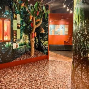 pase- de-atracciones-en-paris-acceso-le-musee-gourmand-du-chocolat-04